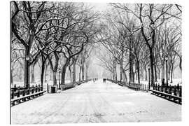 Gallery Print Schneesturm im Central Park, New York