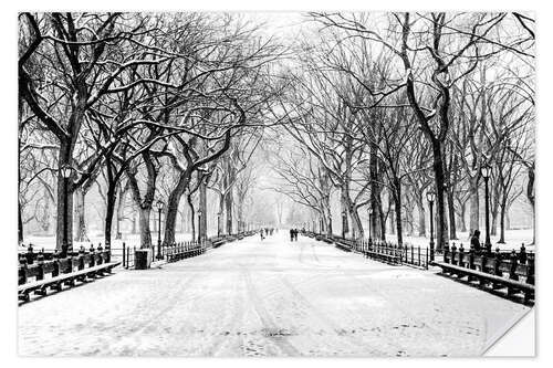 Wall sticker Central Park Snowstorm (Monochrome)