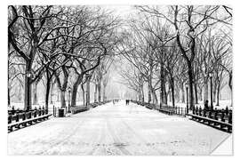 Självhäftande poster Central Park Snowstorm (Monochrome)