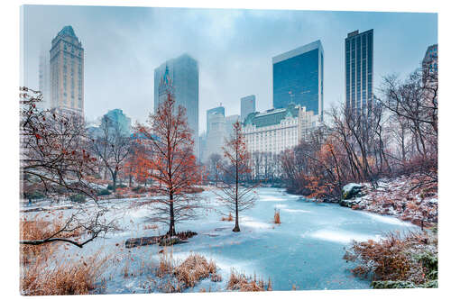 Acrylic print Winter Central Park, New York