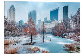 Alumiinitaulu Winter Central Park, New York - Sascha Kilmer