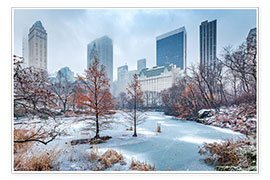 Wall print Winter Central Park, New York - Sascha Kilmer