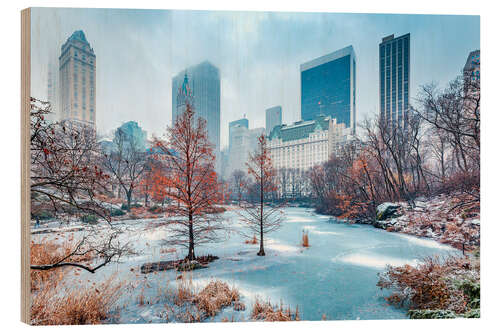 Tableau en bois L'hiver à Central Park, New York