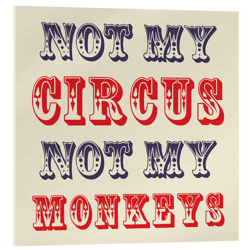 Acrylic print Not My Circus Not My Monkeys