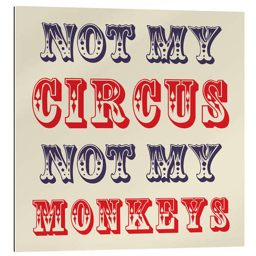 Cuadro de plexi-alu Not My Circus Not My Monkeys