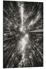 Aluminium print Bamboo forest II