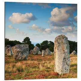 Obraz na aluminium Megaliths in Carnac