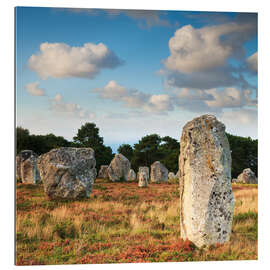 Tableau en plexi-alu Megaliths in Carnac