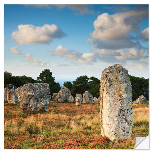 Vinilo para la pared Megaliths in Carnac