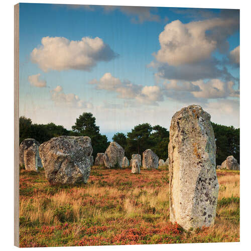 Wood print Megaliths in Carnac