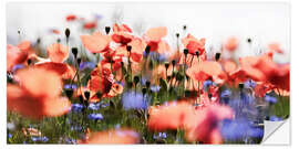 Sticker mural Poppies and Cornflowers