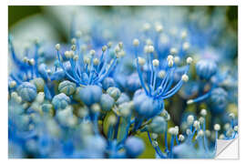 Vinilo para la pared Cyan Flowers