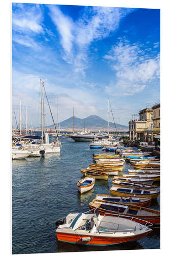 Stampa su PVC Port of Naples and Mount Vesuvius