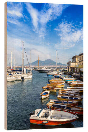 Stampa su legno Port of Naples and Mount Vesuvius