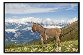 Gerahmter Kunstdruck Esel auf einer einsamen Bergwiese