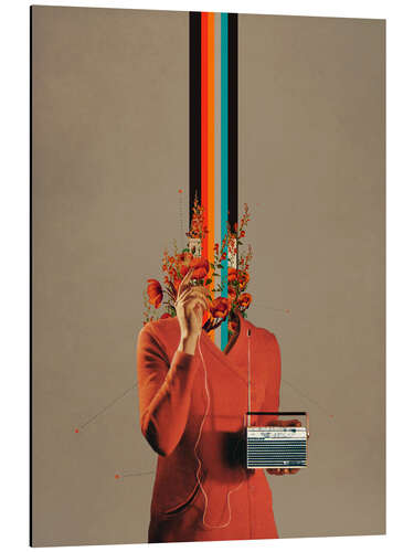Aluminium print Musicolor