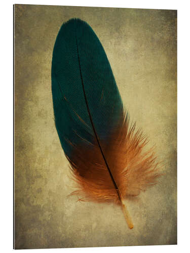 Galleriprint Green and orange feather