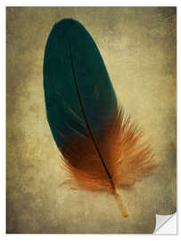 Wall sticker Green and orange feather