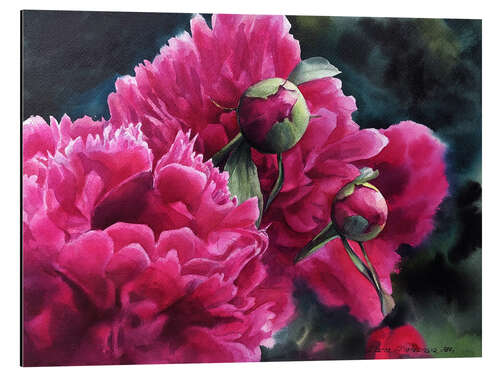 Alubild Watercolor pink peonies