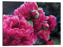 Aluminium print Watercolor pink peonies