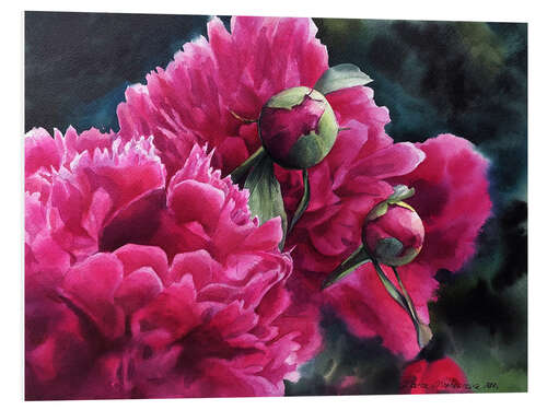 Foam board print Watercolor pink peonies