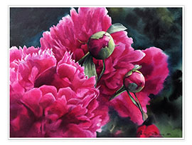 Obra artística  Watercolor pink peonies - Maria Mishkareva