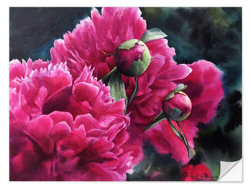 Selvklebende plakat Watercolor pink peonies