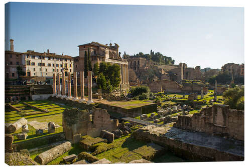 Lærredsbillede Roman forum, Rome