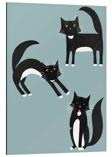 Tableau en aluminium Chats noirs aux pattes blanches