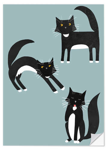 Wall sticker Black cats with white paws