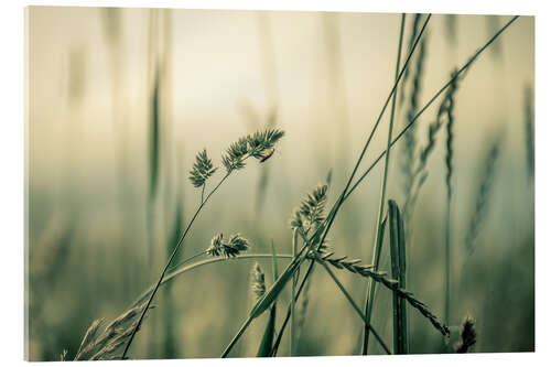 Acrylic print Green moment