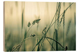 Trebilde Green moment - Sören Bartosch