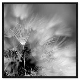 Gerahmter Kunstdruck Monochrome Magie