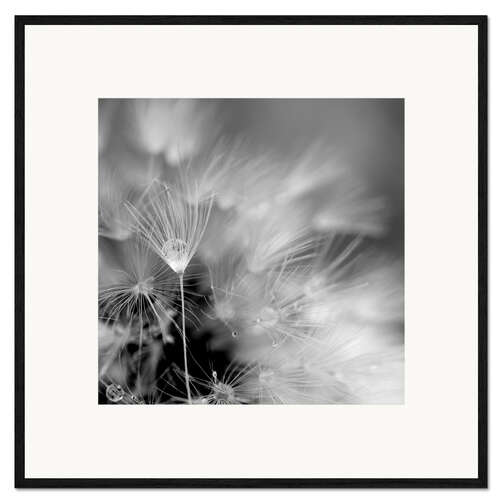 Ingelijste kunstdruk Monochrome magic