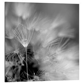 Magnettafel Monochrome Magie