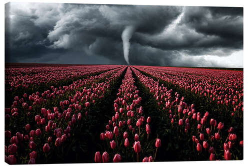 Leinwandbild Tornado und Tulpenfeld