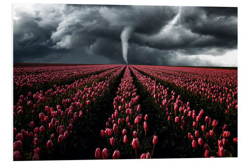 Bilde på skumplate Tornado and tulip field