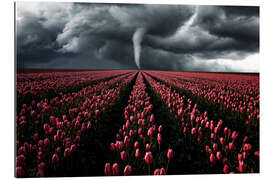 Galleriprint Tornado and tulip field