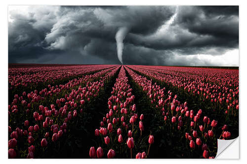 Autocolante decorativo Tornado and tulip field