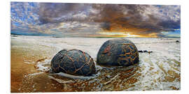 Foam board print Moeraki Boulders, South Island, New Zealand, Oceania