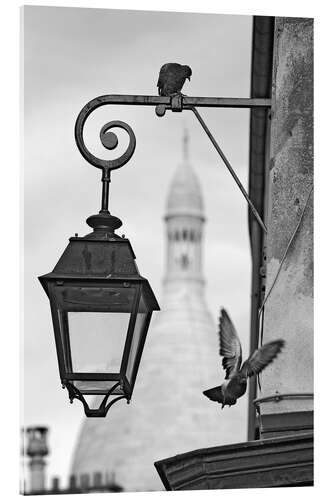 Acrylic print Montmartre pigeons with Sacre Coeur