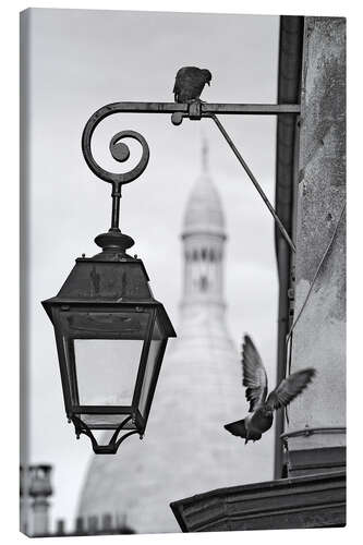 Canvas print Montmartre pigeons with Sacre Coeur