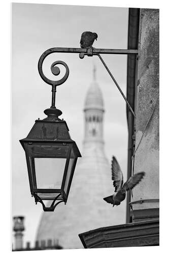 Hartschaumbild Montmartre-Tauben mit Sacre Coeur