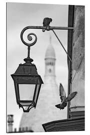 Gallery print Montmartre pigeons with Sacre Coeur