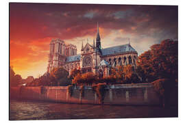 Aluminium print Sunset at Notre Dame in Paris