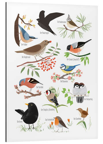 Aluminium print Garden birds (German)