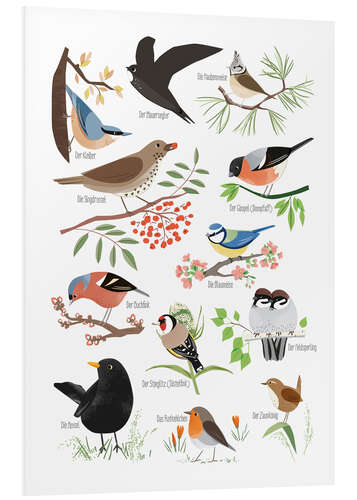 Foam board print Garden birds (German)