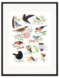 Gerahmter Kunstdruck Gartenvögel
