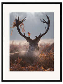 Gerahmter Kunstdruck Hirsch im Winter