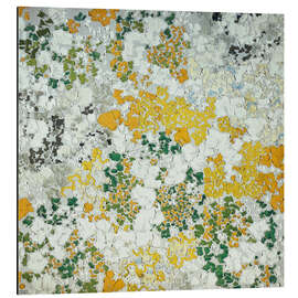 Magnettafel Aufstieg von Piz Duan